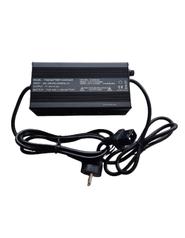 Chargeur 60V 6AH